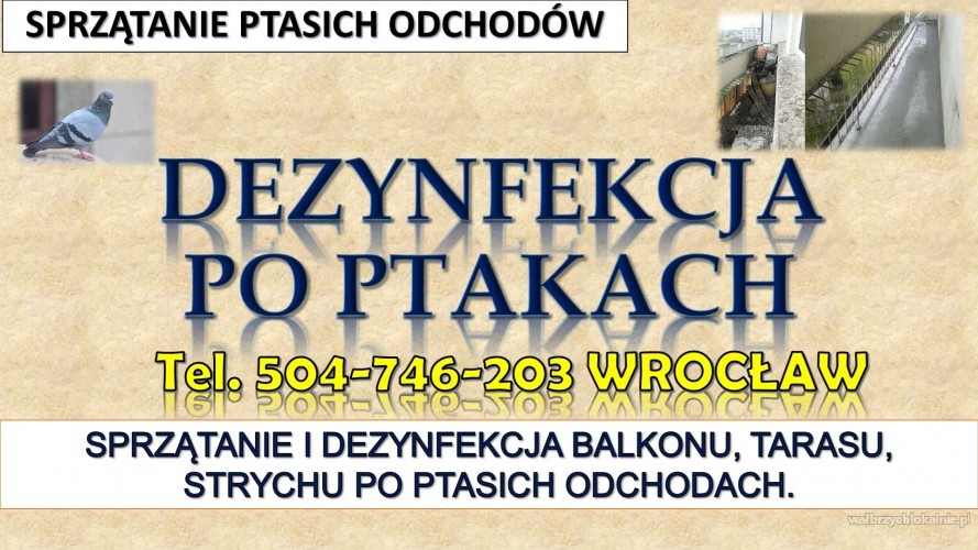 4_dezynfekcja_po_ptakach_po_golebiach_wroclaw1.jpg