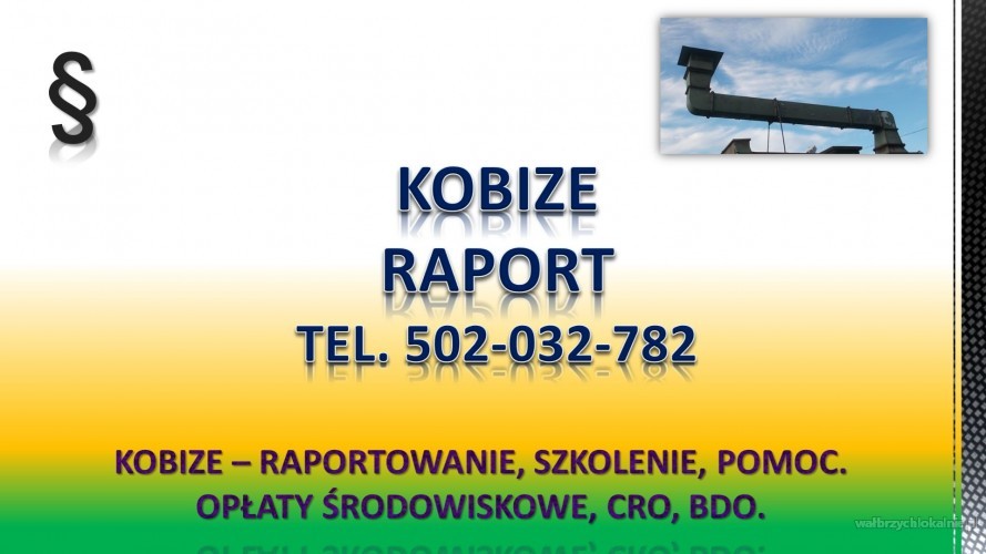 Raportowanie do Kobize cena. tel. 502-032-782. Zgłoszenie