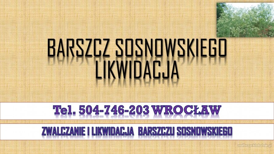 2_firma_usuwajaca_barszcz_sosnowskiego_cennik.jpg