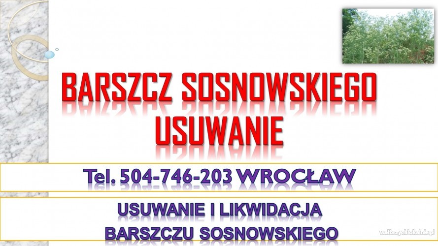 2_likwidacja_barszczu_sosnowskiego_cena_wroclaw1.jpg