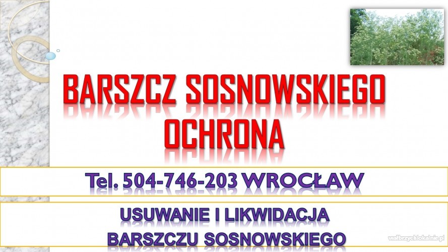 4_firma_usuwajaca_barscz_sosnowskiego_cennik1.jpg